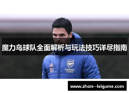 魔力鸟球队全面解析与玩法技巧详尽指南 魔力鸟球队全面解析与玩法技巧详尽指南